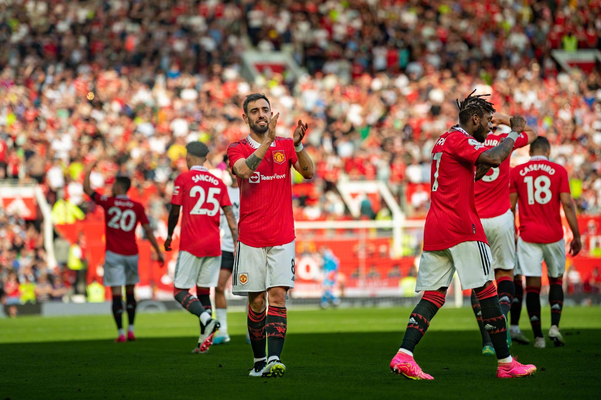 博洛尼亚的 博洛尼亚的